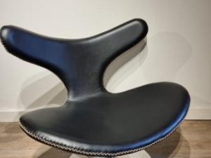 Fauteuil Dolphin